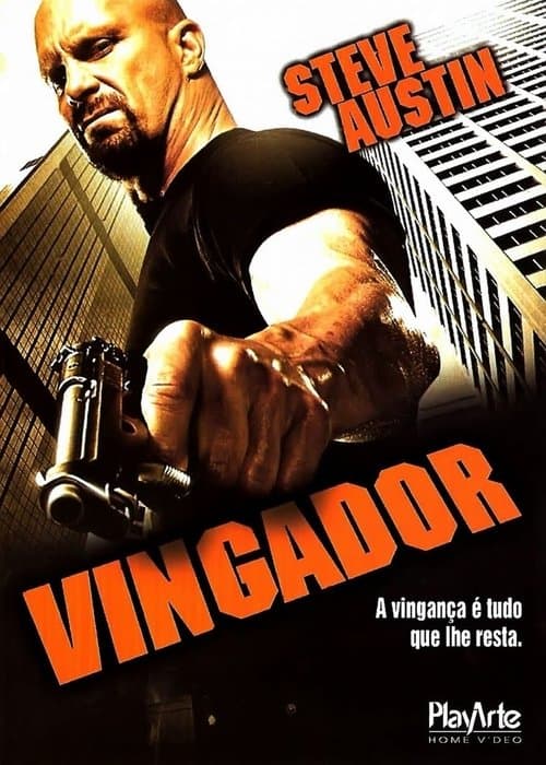 Vingador poster