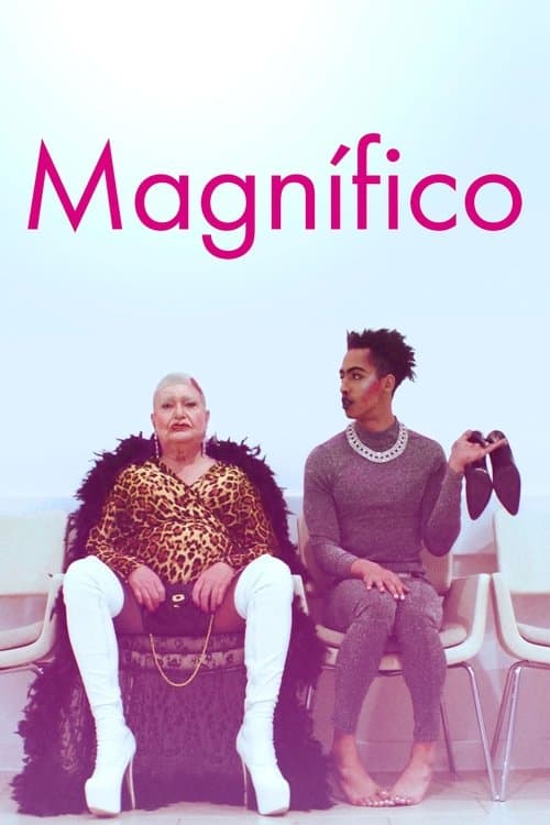 Magnífico poster