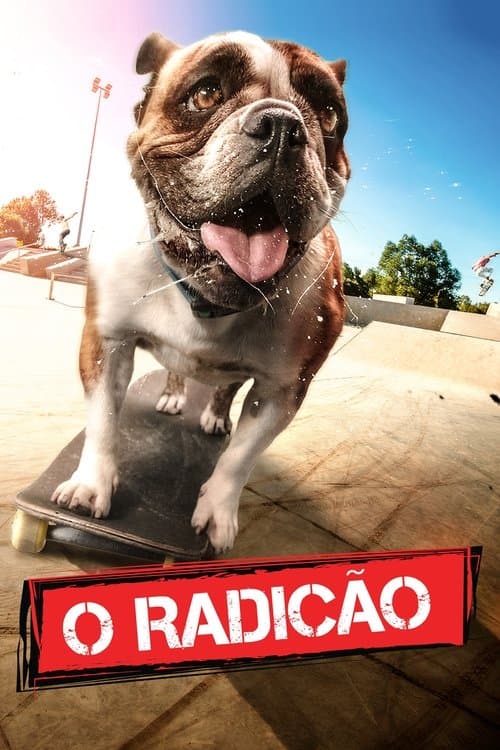 O Radicão poster