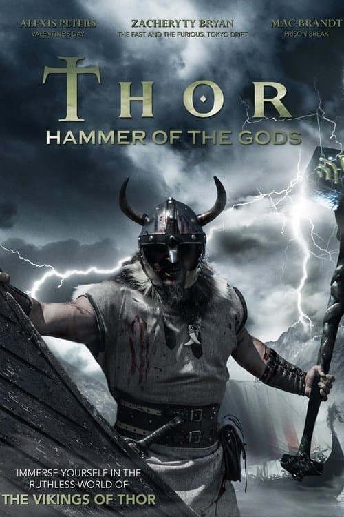 Thor: O Martelo dos Deuses poster