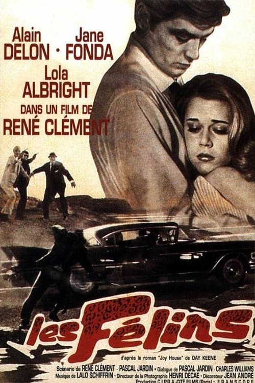 Jaula Amorosa poster