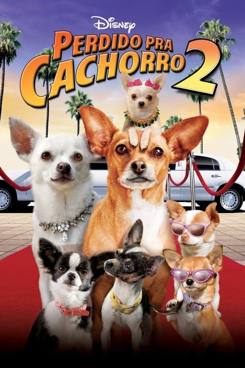 Perdido pra Cachorro 2 poster
