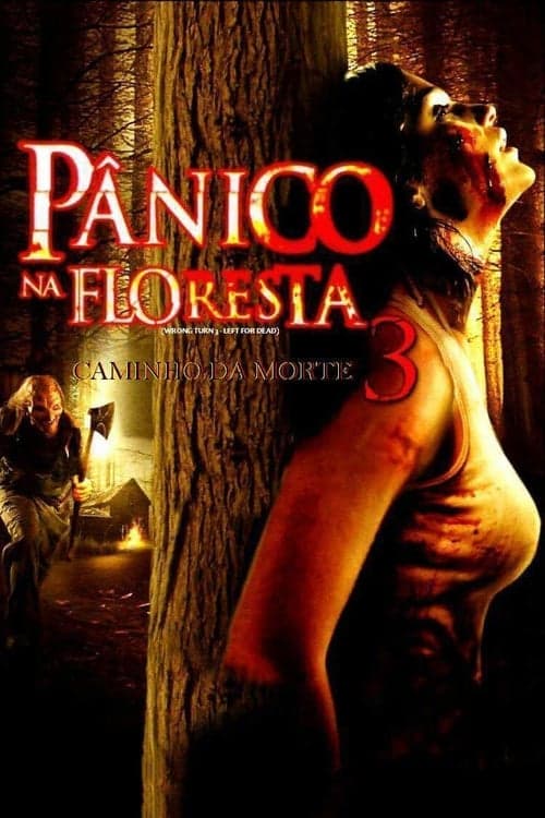 Pânico na Floresta 3 poster