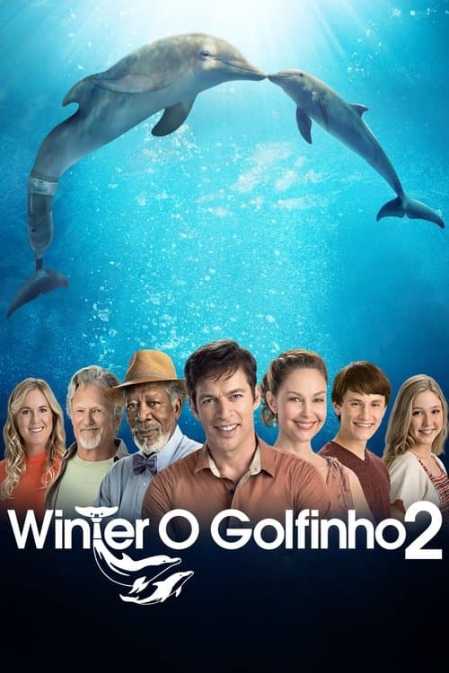 Winter, o Golfinho 2 poster