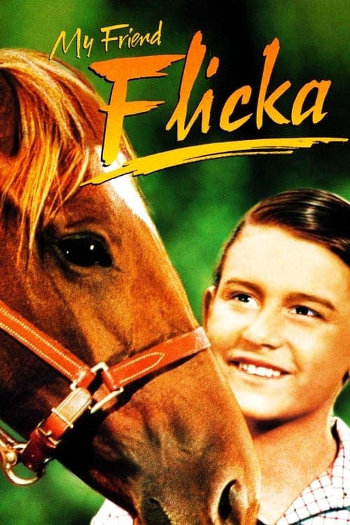 Minha Amiga Flicka poster