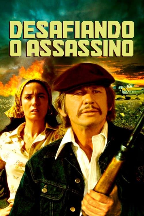 Desafiando o Assassino poster