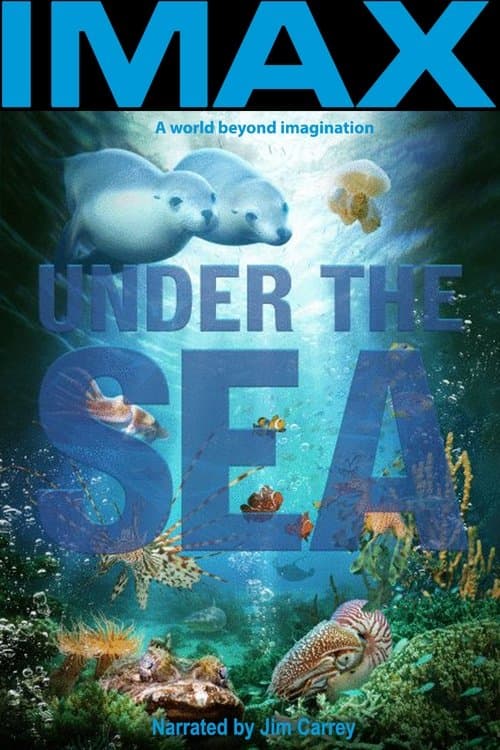 Um Mar de Aventuras poster