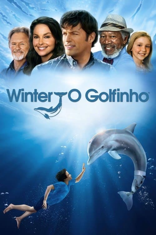 Winter, o Golfinho poster