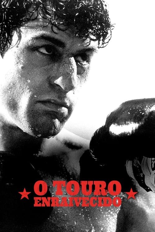 Touro Indomável poster