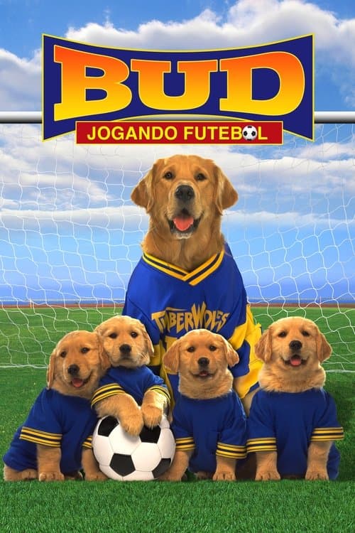 Bud 3: Jogando Futebol poster