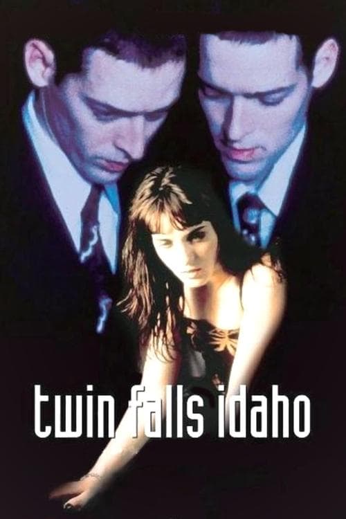 Amor em Dobro poster