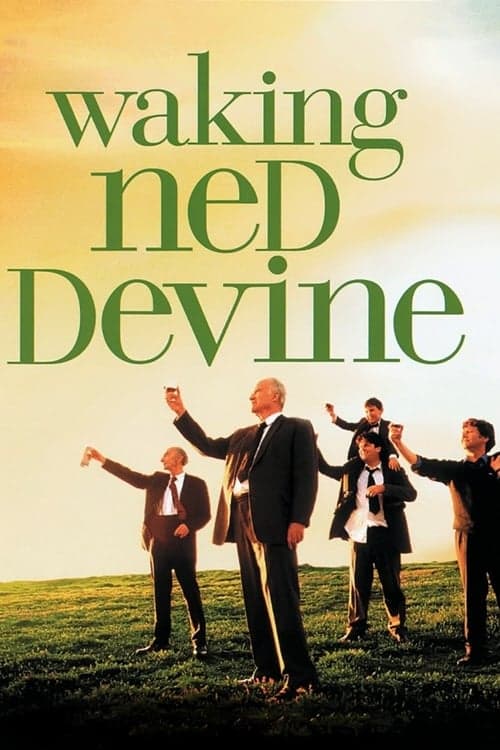 A Fortuna de Ned poster