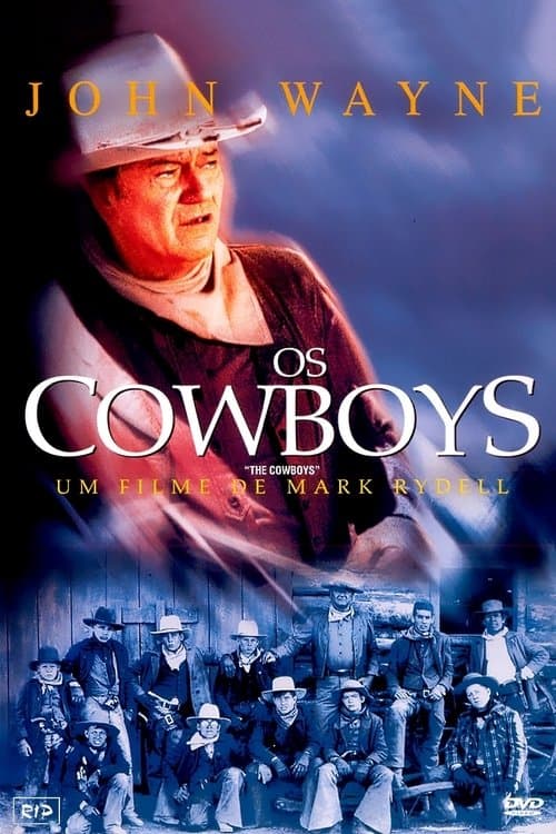 Os Cowboys poster