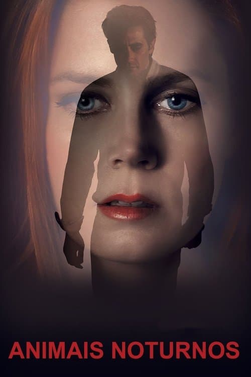 Animais Noturnos poster