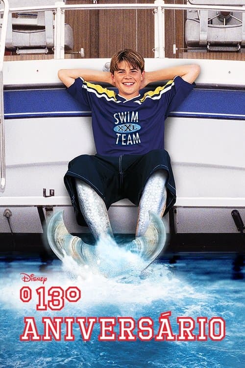 O 13º Aniversário poster