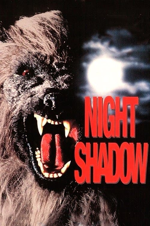 O Lobo da Noite poster