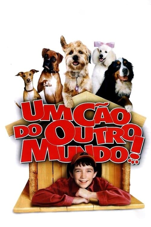 Um Cão de Outro Mundo poster