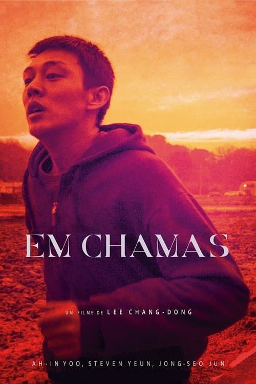 Em Chamas poster