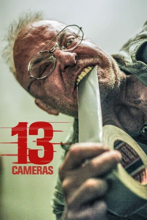 13 Câmeras poster