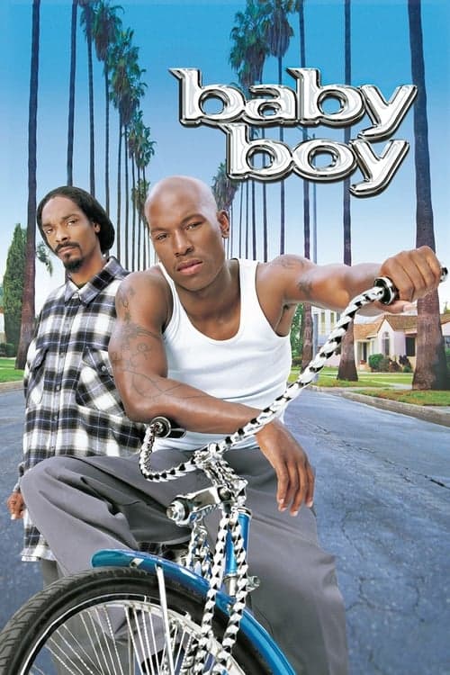 Baby Boy: O Dono da Rua poster