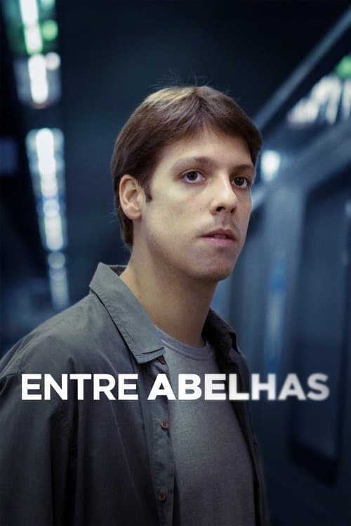 Entre Abelhas poster