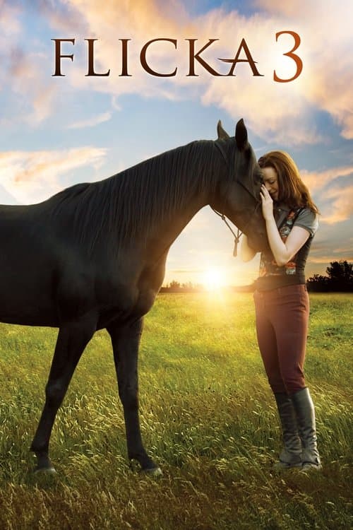 Flicka 3 poster