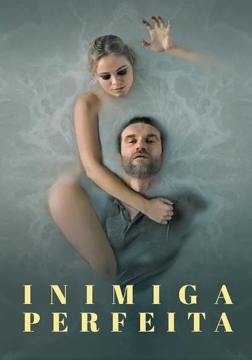 Inimiga Perfeita poster