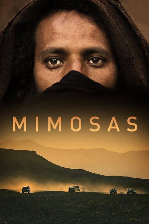 ميموزا poster