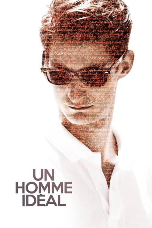 Un Homme idéal poster