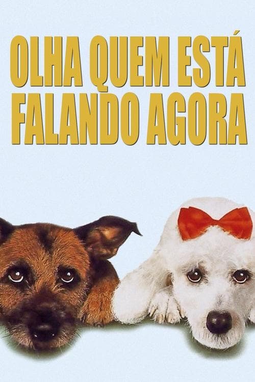 Olha Quem Está Falando Agora poster