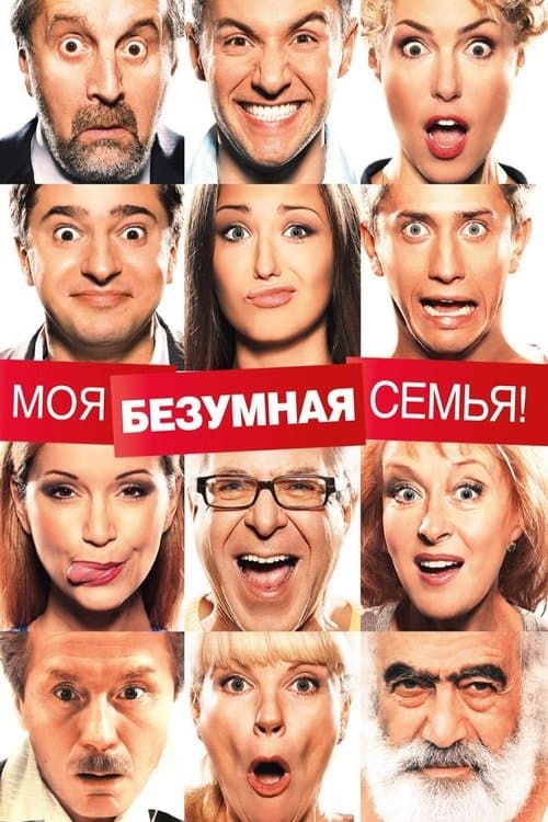 Моя безумная семья poster