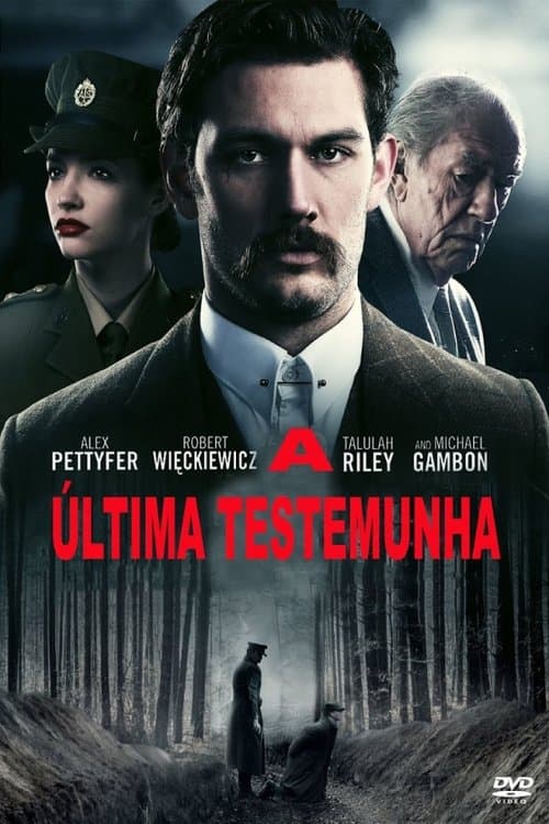 A Última Testemunha poster