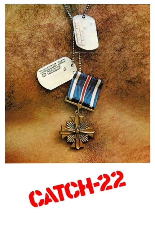 Ardil 22 poster