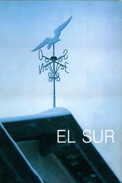 O Sul poster