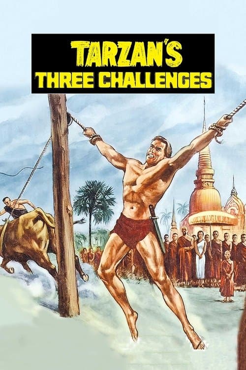Os Três Desafios De Tarzan poster