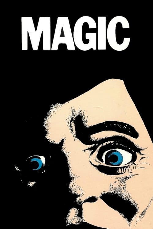 Magia Negra poster
