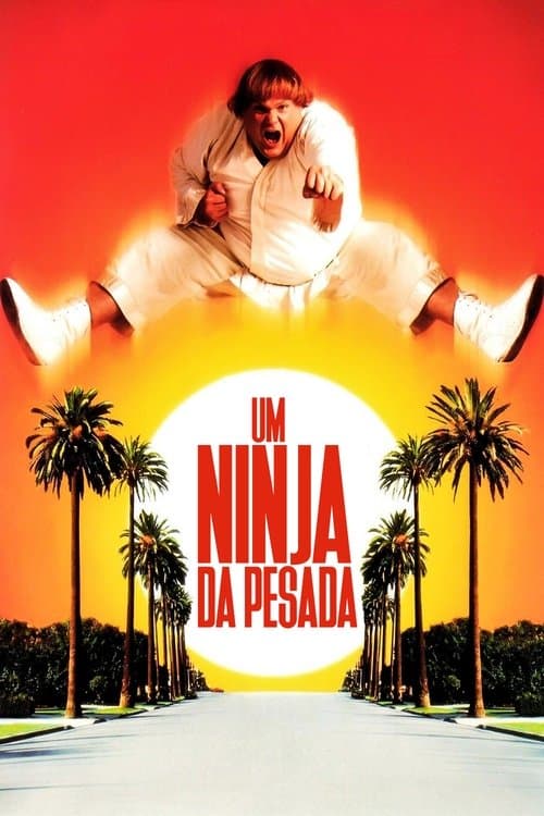 Um Ninja da Pesada poster