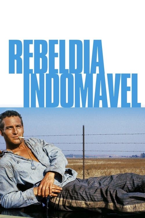 Rebeldia Indomável poster