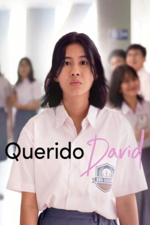 Querido David poster