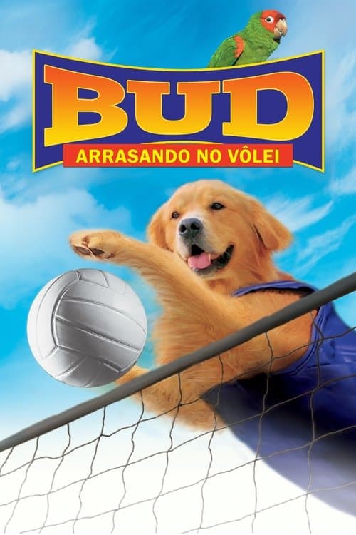 Bud 5: Arrasando no Vôlei! poster