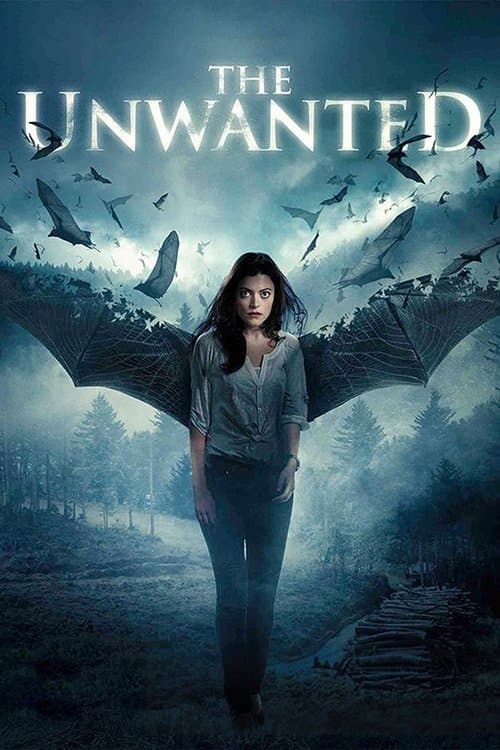 A Intrusa poster