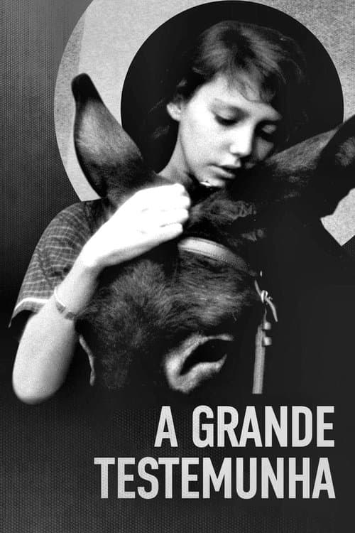 A Grande Testemunha poster