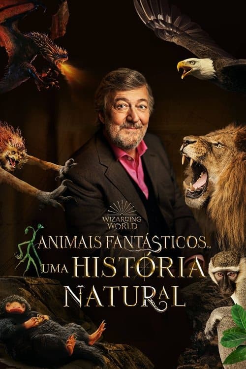 Animais Fantásticos Uma História Natural poster