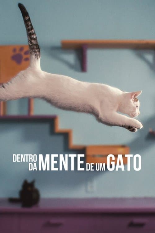 Dentro da Mente de um Gato poster
