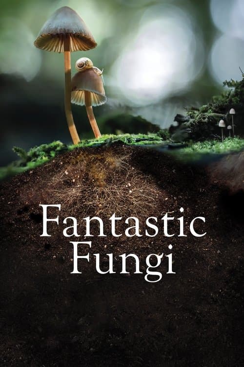 Fungos Fantásticos poster