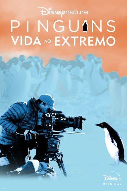 Pinguins: Vida ao Extremo poster