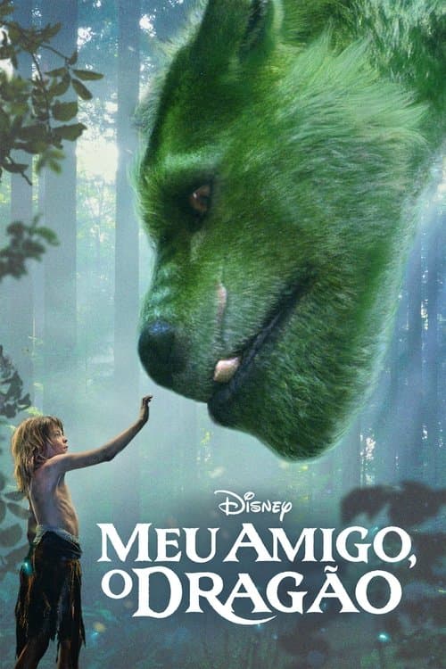 Meu Amigo, O Dragão poster