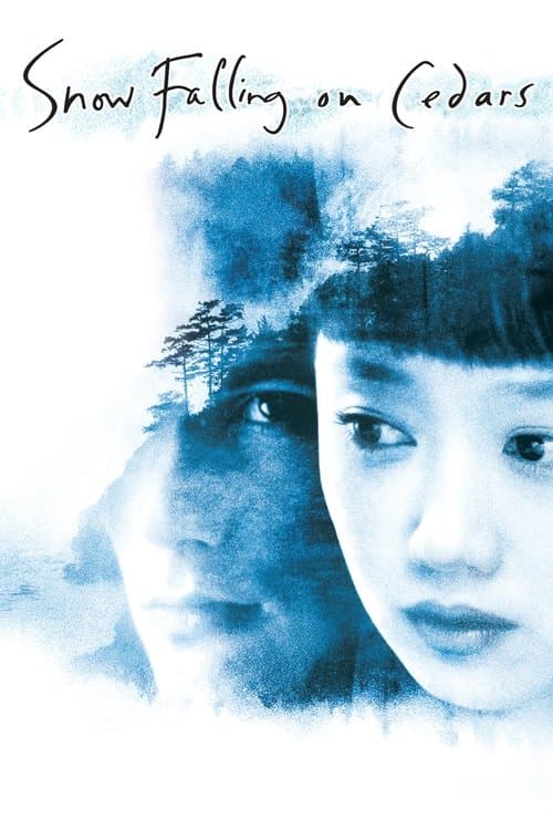 Neve Sobre os Cedros poster