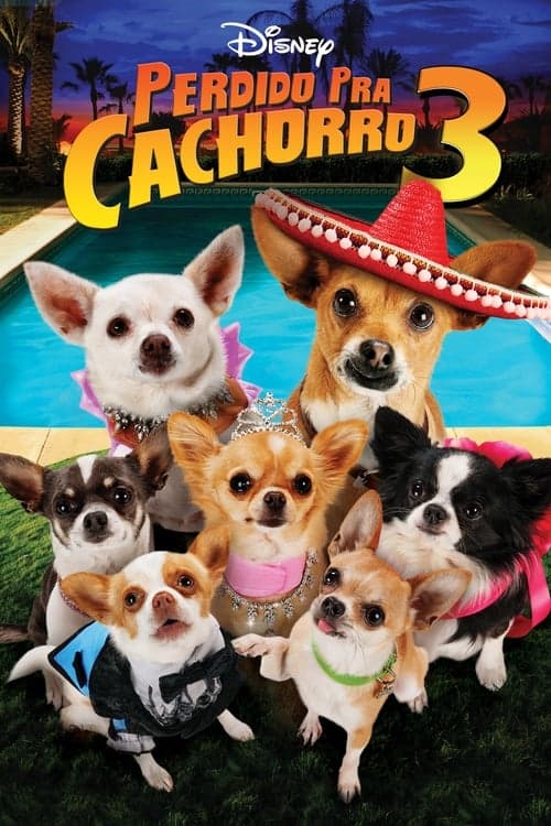 Perdido pra Cachorro 3 poster