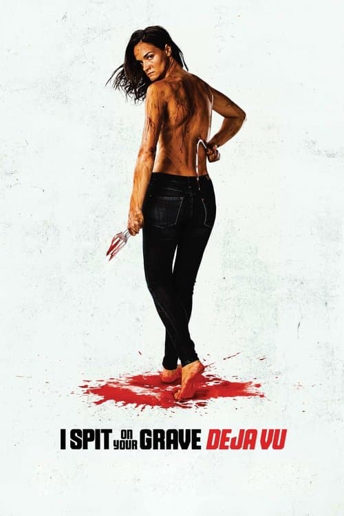 A Vingança de Jennifer: Deja Vu poster